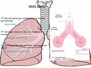 59
DEAD SPACE
Not all inspired gas participating in alveolar
gas exchange
DEAD SPACE – VD
Some gas remains in the non respiratory
airways
ANATOMIC DEAD SPACE
Some gas in the non per fused /low per fused
alveoli
PHYSIOLOGIC DEAD SPACE
 