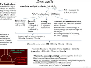 ‏‏RF - نس                           خة.pptx