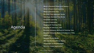 Agenda
• What Is Random Forest And History
• What is Supervised Learning
• What Is Decision Tree
• Decision Tree Important Terms
• How Does Decision Tree Works
• Ensemble Learning
• Dataset Preparation
• Bagging At Training Time
• Bagging At Inference Time
• Random Subspace Method At Training Time
• Random Subspace Method At Inference Time
• Definition
• Random Forest Model
• Why Use Random Forest Model
• Advantages & Disadvantages
• Random Forest Application
R A N D O M F O R E S T 2
 