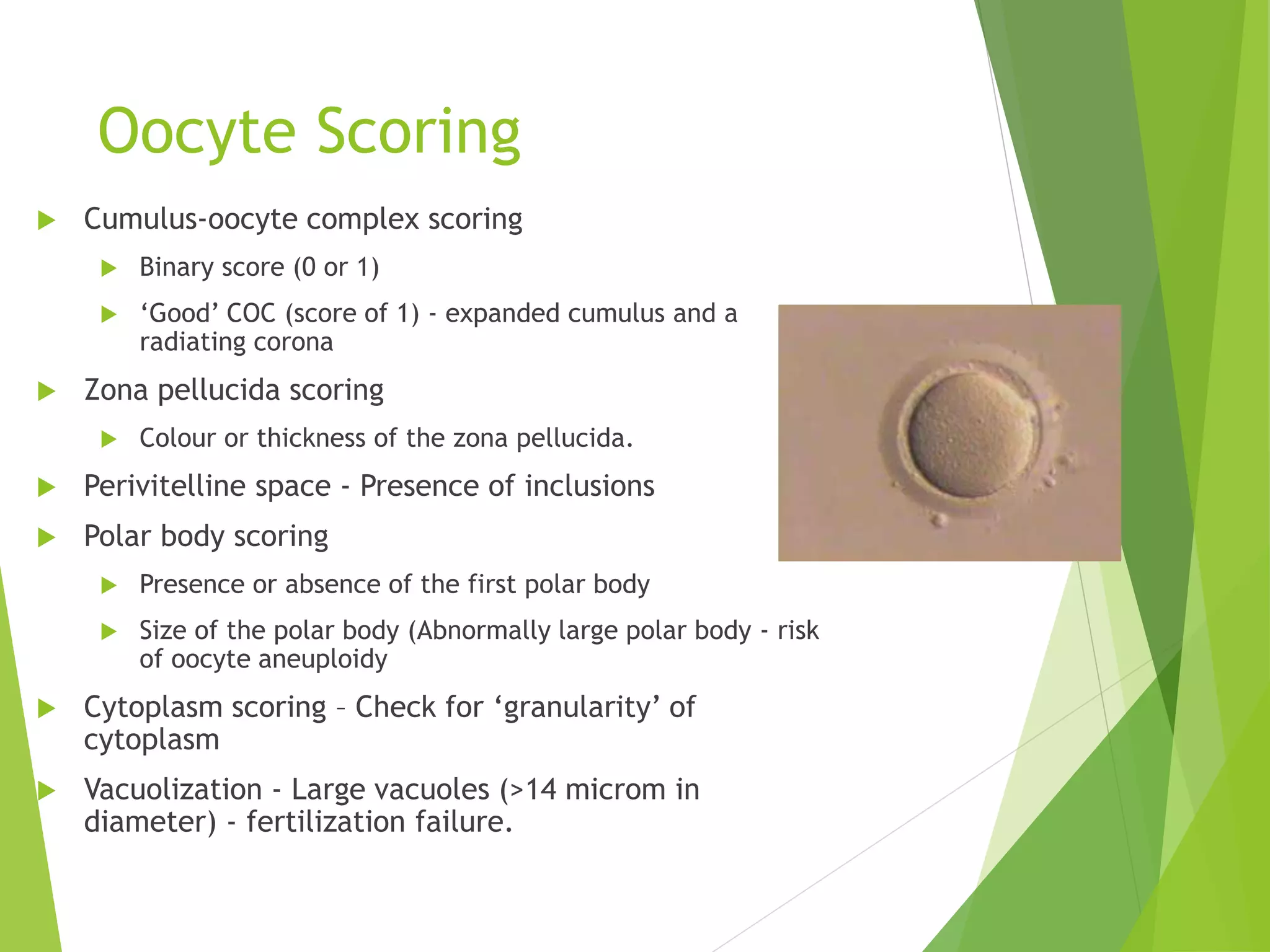 Oocyte Scoring
 Cumulus-oocyte complex scoring
 Binary score (0 or 1)
 ‘Good’ COC (score of 1) - expanded cumulus and a
radiating corona
 Zona pellucida scoring
 Colour or thickness of the zona pellucida.
 Perivitelline space - Presence of inclusions
 Polar body scoring
 Presence or absence of the first polar body
 Size of the polar body (Abnormally large polar body - risk
of oocyte aneuploidy
 Cytoplasm scoring – Check for ‘granularity’ of
cytoplasm
 Vacuolization - Large vacuoles (>14 microm in
diameter) - fertilization failure.
 