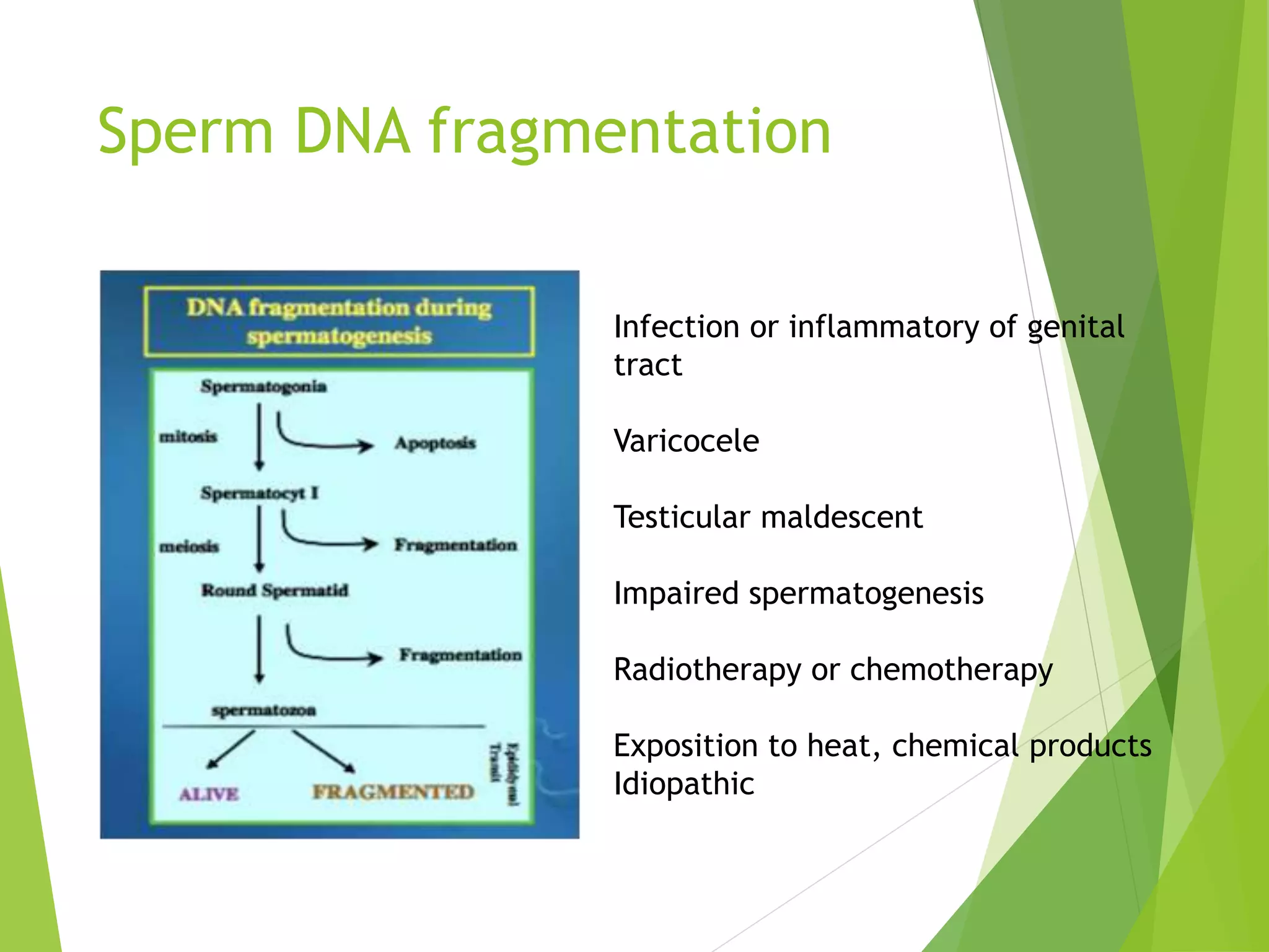 Sperm DNA fragmentation
Infection or inflammatory of genital
tract
Varicocele
Testicular maldescent
Impaired spermatogenesis
Radiotherapy or chemotherapy
Exposition to heat, chemical products
Idiopathic
 