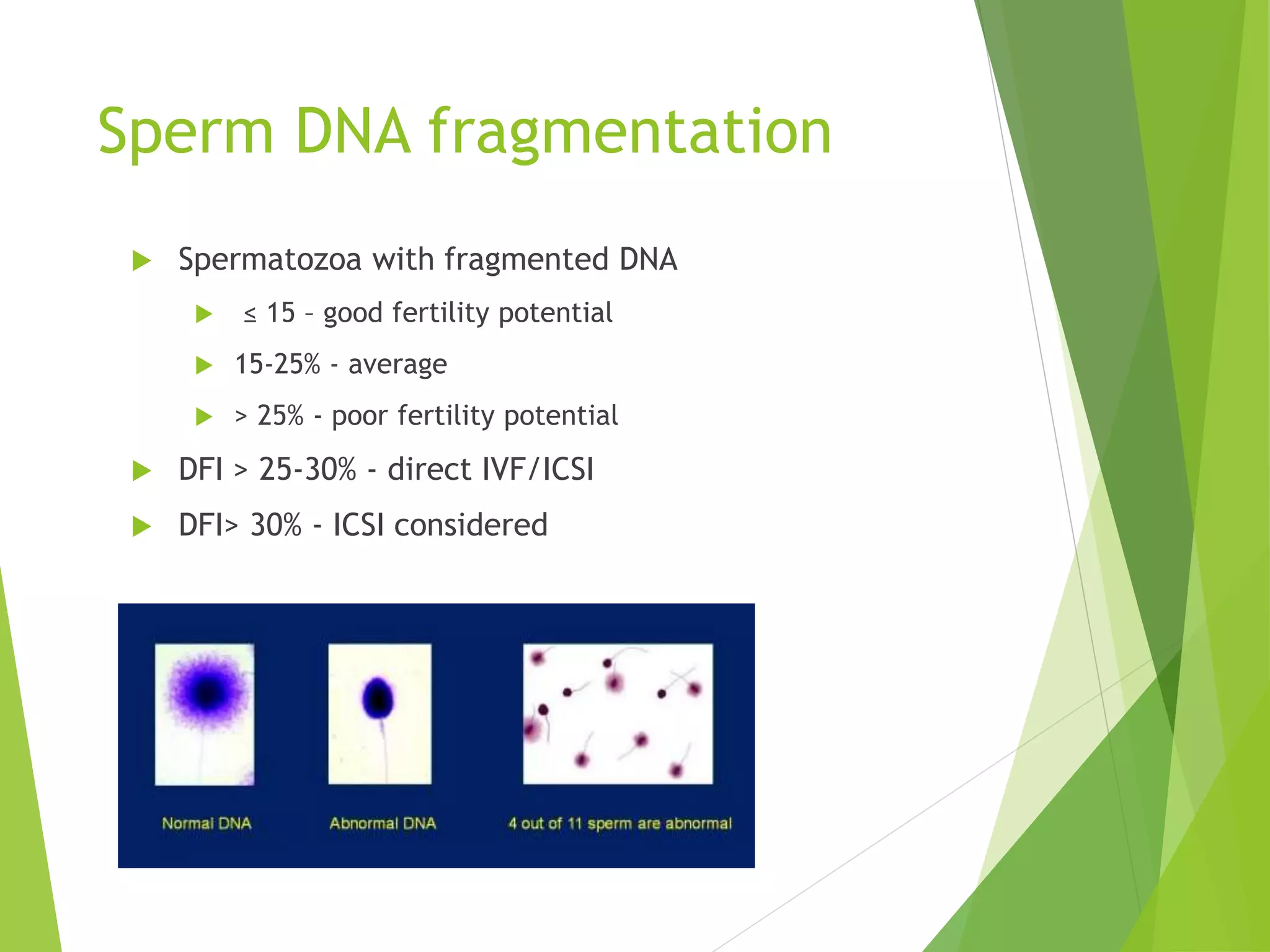 Sperm DNA fragmentation
 Spermatozoa with fragmented DNA
 ≤ 15 – good fertility potential
 15-25% - average
 > 25% - poor fertility potential
 DFI > 25-30% - direct IVF/ICSI
 DFI> 30% - ICSI considered
 