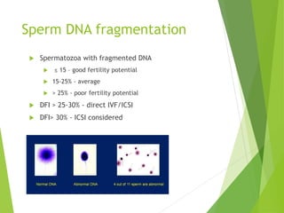 Sperm DNA fragmentation
 Spermatozoa with fragmented DNA
 ≤ 15 – good fertility potential
 15-25% - average
 > 25% - poor fertility potential
 DFI > 25-30% - direct IVF/ICSI
 DFI> 30% - ICSI considered
 