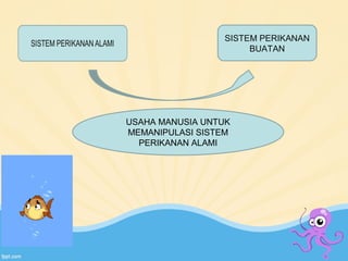 SISTEM PERIKANAN 
BUATAN 
USAHA MANUSIA UNTUK 
MEMANIPULASI SISTEM 
PERIKANAN ALAMI 
 