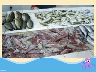 Perikanan : usaha manusia 
 