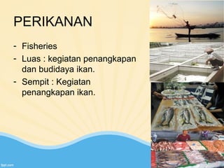 PERIKANAN 
- Fisheries 
- Luas : kegiatan penangkapan 
dan budidaya ikan. 
- Sempit : Kegiatan 
penangkapan ikan. 
 