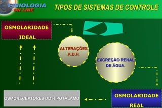 TIPOS DE SISTEMAS DE CONTROLE   OSMOLARIDADE REAL ALTERAÇÕES A.D.H . EXCREÇÃO RENAL DE ÁGUA . OSMORECEPTORES DO HIPOTÁLAMO OSMOLARIDADE  IDEAL 