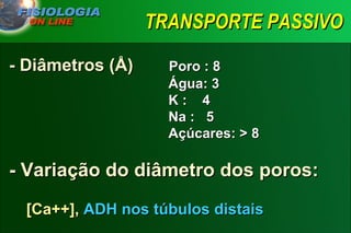 TRANSPORTE PASSIVO - Diâmetros (Å)    Poro : 8   Água: 3   K :  4   Na :  5   Açúcares: > 8 - Variação do diâmetro dos poros:   [Ca++],   ADH nos túbulos distais 