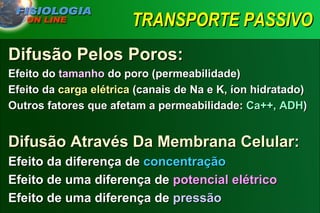 TRANSPORTE PASSIVO Difusão Pelos Poros: Efeito do  tamanho  do poro (permeabilidade) Efeito da  carga elétrica  (canais de Na e K, íon hidratado) Outros fatores que afetam a permeabilidade:  Ca++, ADH ) Difusão Através Da Membrana Celular: Efeito da diferença de  concentração Efeito de uma diferença de  potencial elétrico Efeito de uma diferença de  pressão 
