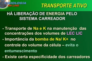 TRANSPORTE ATIVO HÁ LIBERAÇÃO DE  ENERGIA  PELO    SISTEMA CARREADOR - Transporte de  Na e K  na manutenção  das    concentrações dos volumes de  LEC LIC - Importância da  bomba de Na/ K+   no    controle do volume da célula –  evita o    entumescimento - Existe certa especificidade dos carreadores 