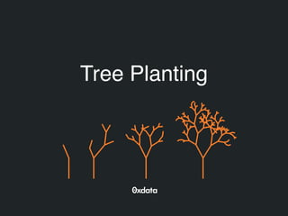 Tree Planting
 