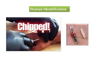 Human Identification

 