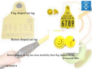 Flag shaped ear tag
Button shaped ear tag
12/19/2014
Button shaped ear tag has more durability than flag shaped ear tag.
(Carne et al. 2003)
 