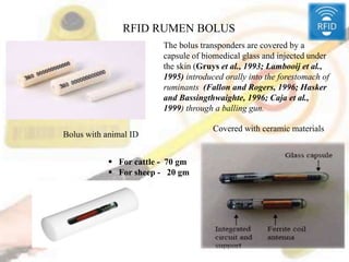 RFID RUMEN BOLUS
 For cattle - 70 gm
 For sheep - 20 gm
Covered with ceramic materials
Bolus with animal ID
The bolus transponders are covered by a
capsule of biomedical glass and injected under
the skin (Gruys et al., 1993; Lambooij et al.,
1995) introduced orally into the forestomach of
ruminants (Fallon and Rogers, 1996; Hasker
and Bassingthwaighte, 1996; Caja et al.,
1999) through a balling gun.
 