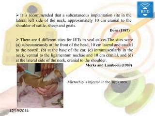 12/19/2014
 It is recommended that a subcutaneous implantation site in the
lateral left side of the neck, approximately 10 cm cranial to the
shoulder of cattle, sheep and goats.
Dorn (1987)
 There are 4 different sites for IETs in veal calves.The sites were
(a) subcutaneously at the front of the head, 10 cm lateral and caudal
to the nostril, (b) at the base of the ear, (c) intramuscularly in the
neck, ventral to the ligamentum nuchae and 10 cm cranial, and (d)
at the lateral side of the neck, cranial to the shoulder.
Merks and Lambooij (1989)
Microchip is injected in the neck area.
 