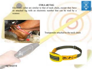 12/19/2014
COLLAR TAG
Electronic collar are similar to that of neck chain, except they have
an attached tag with an electronic number that can be read by a
scanner.
Transponder attached to the neck chain
 