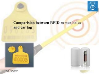 12/19/2014
Comparision between RFID rumen bolus
and ear tag
 