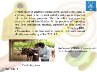 12/19/2014
 Application of electronic animal identification technologies is
a growing trend in the livestock industry and plays an important
role in the future prospects. There is still a gap regarding
electronic animal identification for the purposes of improving
total farm management practices, especially on dairy farms in
India.. (Trevarthen, 2007).
 Maharashtra is the first state in India to introduce animal
identification authority called ‘MAIRA’.

BVC created ‘HERDMAN’ sofeware under
Dr. A. Samad and his colleagues.
Chitale dairy farm
 