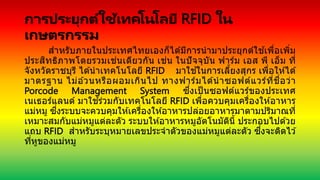 การประยุกต์ใช้เทคโนโลยี RFID ใน
เกษตรกรรม
สาหรับภายในประเทศไทยเองก็ได ้มีการนามาประยุกต์ใช ้เพื่อเพิ่ม
ประสิทธิภาพโดยรวมเช่นเดียวกัน เช่น ในปัจจุบัน ฟาร์ม เอส พี เอ็ม ที่
จังหวัดราชบุรี ได ้นาเทคโนโลยี RFID มาใช ้ในการเลี้ยงสุกร เพื่อให ้ได ้
มาตรฐาน ไม่อ ้วนหรือผอมเกินไป ทางฟาร์มได ้นาซอฟต์แวร์ที่ชื่อว่า
Porcode Management System ซึ่งเป็ นซอฟต์แวร์ของประเทศ
เนเธอร์แลนด์ มาใช ้ร่วมกับเทคโนโลยี RFID เพื่อควบคุมเครื่องให ้อาหาร
แม่หมู ซึ่งระบบจะควบคุมให ้เครื่องให ้อาหารปล่อยอาหารมาตามปริมาณที่
เหมาะสมกับแม่หมูแต่ละตัว ระบบให ้อาหารหมูอัตโนมัตินี้ ประกอบไปด ้วย
แถบ RFID สาหรับระบุหมายเลขประจาตัวของแม่หมูแต่ละตัว ซึ่งจะติดไว ้
ที่หูของแม่หมู
 