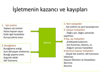 İşletmenin kazancı ve kayıpları

                                        1- Yem maliyetleri
1. Süt üretimi
                                         . Süt üretimi ve yem karşılaştırma
. Toplam süt üretimi
                                        2- Çalışan maliyetleri
. Hasta hayvan sayısı
                                          . Doğru işin, doğru zamanda
. Sütle ilgili hastalıklar
                                        yapılması
. Kuruya çıkma oranı
                                        3-İlaç, aşı maliyetleri
                              İşletme     . Antibiyotik kullanımı
2. Buzağılama                             . Süt Humması, Ketosis, vs.
. Buzağılama aralığı                      . Doğum sonrası hastalıklar
. Suni döl-payet ortalaması             4-Verimsiz hayvan maliyetleri
. Buzağı yaşama oranı                     .Düşük Süt üretimi, döl tutmama
. Kızgınlık takibi                      Veteriner
. Döl Tutmama                           Hayvan Ölümleri ve Hastalıkları
                                        Barınma
                                        Koruma
 