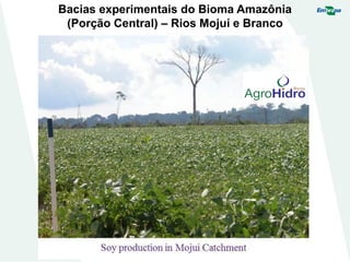 Bacias experimentais do Bioma Amazônia
(Porção Central) – Rios Mojuí e Branco
 