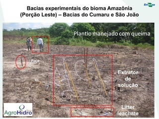 Solução do Solo em diferentes sistemas
Extrator
de
solução
Litter
leachate
Bacias experimentais do bioma Amazônia
(Porção Leste) – Bacias do Cumaru e São João
 