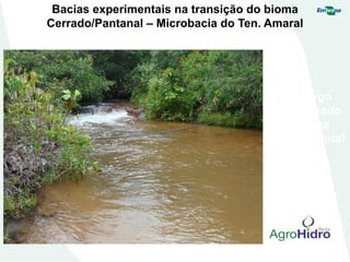 Bacias experimentais na transição do bioma
Cerrado/Pantanal – Microbacia do Ten. Amaral
Córrego
monitorado
na área
experimental
 