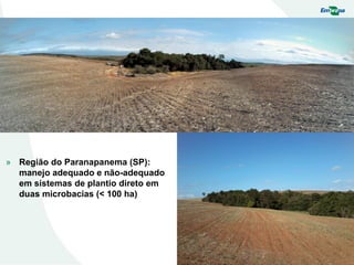 » Região do Paranapanema (SP):
manejo adequado e não-adequado
em sistemas de plantio direto em
duas microbacias (< 100 ha)
 