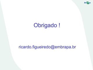 Obrigado !
ricardo.figueiredo@embrapa.br
 