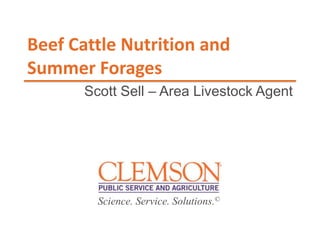 Science. Service. Solutions.©
Beef Cattle Nutrition and
Summer Forages
Scott Sell – Area Livestock Agent
 