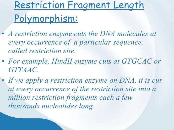 restriction fragment length polymorphism