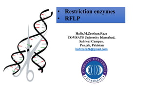• Restriction enzymes
• RFLP
Hafiz.M.Zeeshan.Raza
COMSATS University Islamabad,
Sahiwal Campus,
Punjab, Pakistan
hafizraza26@gmail.com
 