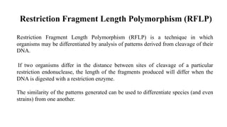 Restriction Fragment Length Polymorphism (RFLP) | PPTX