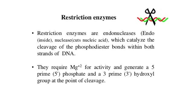 Restriction Fragment Length Polymorphism (RFLP)