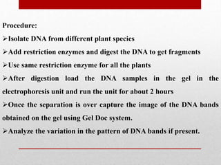 Procedure:
Isolate DNA from different plant species
Add restriction enzymes and digest the DNA to get fragments
Use same restriction enzyme for all the plants
After digestion load the DNA samples in the gel in the
electrophoresis unit and run the unit for about 2 hours
Once the separation is over capture the image of the DNA bands
obtained on the gel using Gel Doc system.
Analyze the variation in the pattern of DNA bands if present.
 