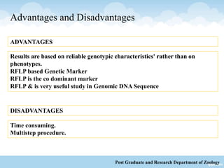 Advantages and Disadvantages
Results are based on reliable genotypic characteristics' rather than on
phenotypes.
RFLP based Genetic Marker
RFLP is the co dominant marker
RFLP & is very useful study in Genomic DNA Sequence
ADVANTAGES
Time consuming.
Multistep procedure.
Post Graduate and Research Department of Zoology
DISADVANTAGES
 