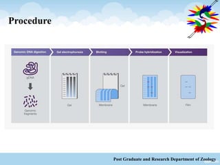Procedure
Post Graduate and Research Department of Zoology
 