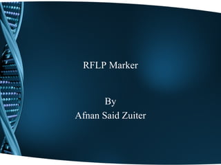 RFLP Marker
By
Afnan Said Zuiter
 
