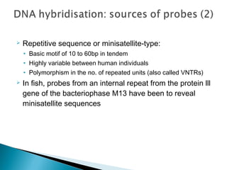  Repetitive sequence or minisatellite-type:
• Basic motif of 10 to 60bp in tendem
• Highly variable between human individuals
• Polymorphism in the no. of repeated units (also called VNTRs)
 In fish, probes from an internal repeat from the protein lll
gene of the bacteriophase M13 have been to reveal
minisatellite sequences
 