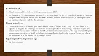 Extraction of DNA
• All cells (except red blood cells) in all living creatures contain DNA.
• The first step in DNA fingerprinting is getting DNA in a pure form. The blood is treated with a series of chemicals
until pure DNA emerges as a white solid. The DNA is stored, dissolved in essentially water, in a small plastic tube
and kept in a fridge until ready for the next stage.
Cutting up the DNA
• Freshly extracted DNA in water is quite sticky, because the DNA strands are very long. They are too long to be
separated in the gel in the next stage. The next step is to cut up the DNA strands using a restriction enzyme. This
restriction enzyme doesn’t cut randomly in the DNA, but at specific letter sequences. This stage involves adding the
restriction enzyme (colourless liquid) to the DNA (another colourless liquid), using a pipette. The enzyme takes a
few hours to cut at all the places it can in the DNA strands.
Separating the DNA fragments on a gel
• Gel electrophoresis
 