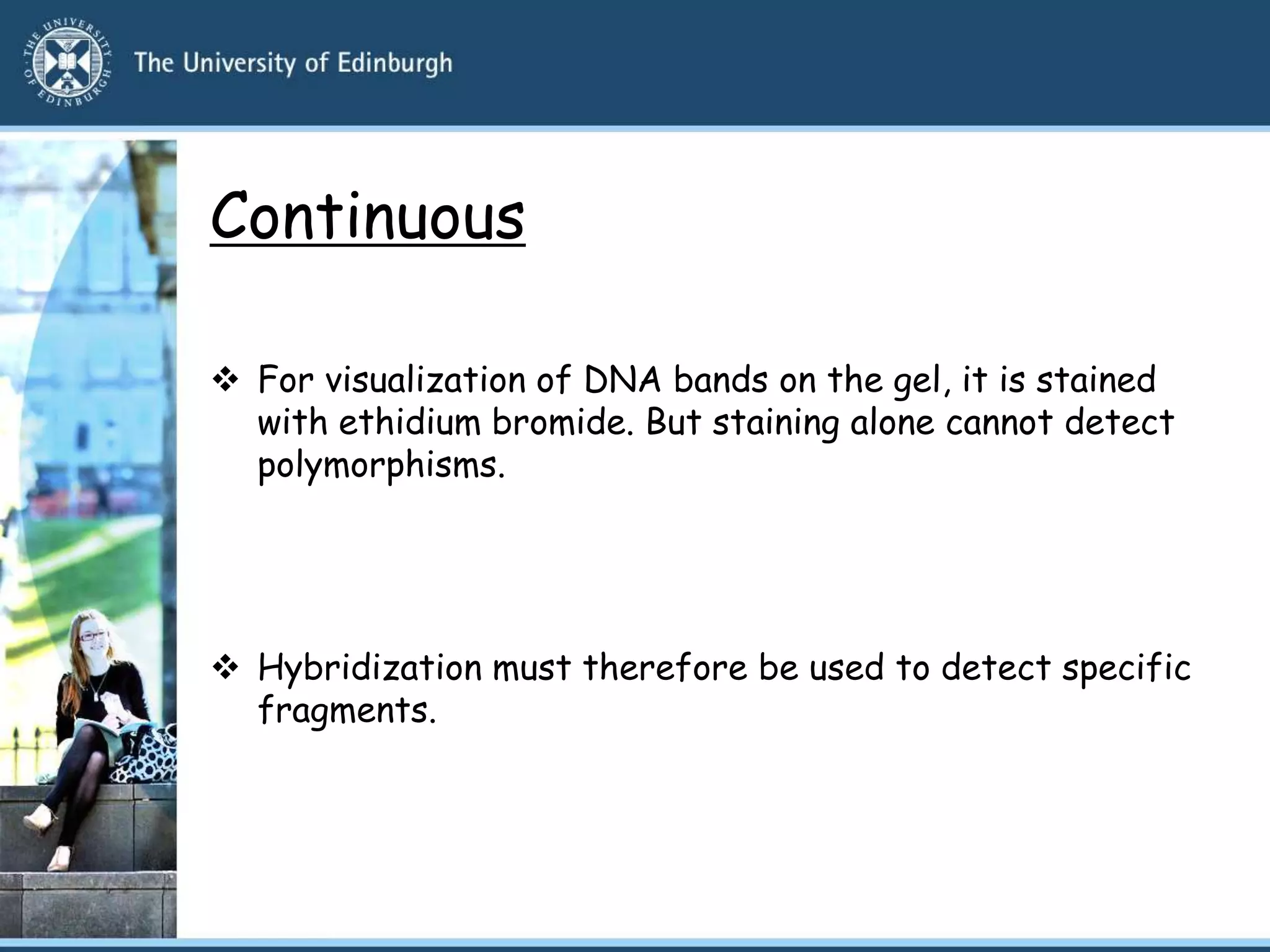 Continuous
 For visualization of DNA bands on the gel, it is stained
with ethidium bromide. But staining alone cannot detect
polymorphisms.
 Hybridization must therefore be used to detect specific
fragments.
 