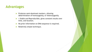 Advantages
 Produces semi-dominant markers, allowing
determination of homozygosity, or heterozygosity.
 • Stable and Reproducible, gives constant results over
time, and location.
 No prior information on DNA sequence is required.
 Relatively simple technique.
 