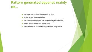 Pattern generated depends mainly
on…
 Difference in dna of selected strains.
 Restriction enzymes used.
 Dna probe employed for southern hybridization.
 Point and Frameshift mutations.
 Difference in alleles for a particular sequence.
 