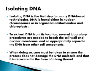  Isolating DNA is the first step for many DNA-based
technologies. DNA is found either in nuclear
chromosomes or in organelles (mitochondria and
chloroplasts).
 To extract DNA from its location, several laboratory
procedures are needed to break the cell wall and
nuclear membrane, and so appropriately separate
the DNA from other cell components.
 When doing so, care must be taken to ensure the
process does not damage the DNA molecule and that
it is recovered in the form of a long thread.
 