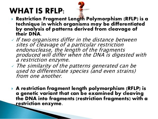 restriction fragment length polymorphism