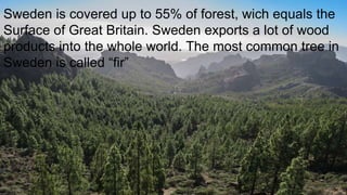 Sweden is covered up to 55% of forest, wich equals the
Surface of Great Britain. Sweden exports a lot of wood
products into the whole world. The most common tree in
Sweden is called “fir”
 