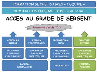 ACCES AU GRADE DE SERGENT
FORMATION DE CHEF D’AGRES « 1 EQUIPE »
NOMINATION EN QUALITE DE STAGIAIRE
CAPORAL
CAPORAL CHEF
ANCIENNETE
3 ANS + FAE
CHEF D’EQUIPE
CAPORAL CHEF
ANCIENNETE
6 ANS + FAE
CHEF D’EQUIPE
ANCIENNETE
6 ANS CCH + FAE
CHEF D’EQUIPE
FONCTION
PUBLIQUE
ANCIENNETE
4 ANS + FAE
CHEF D’EQUIPE
CONCOURS
INTERNE
EXAMEN
PROFESSIONNEL
CONCOURS
INTERNE
PROMOTION AU
CHOIX
Proportion d’accès 70 %
 