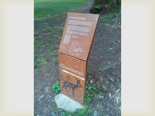 Références pour notre projet