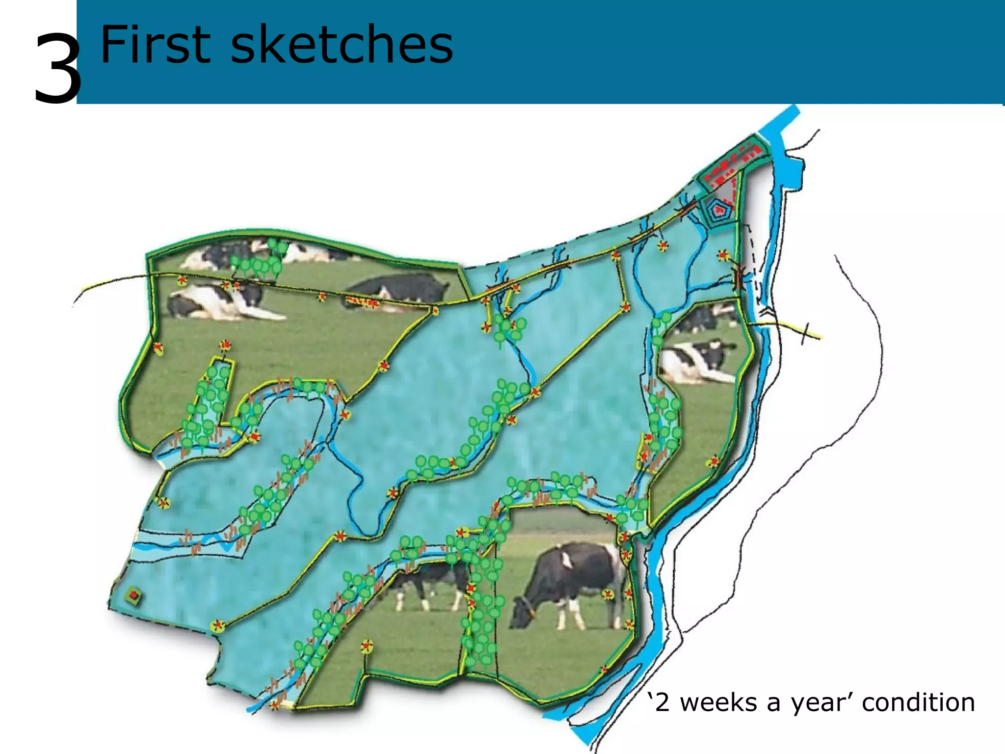 3 ‘ 2 weeks a year’ condition First sketches 