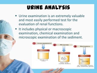 Urine Analysis
 Urine examination is an extremely valuable
and most easily performed test for the
evaluation of renal functions.
 It includes physical or macroscopic
examination, chemical examination and
microscopic examination of the sediment.
 